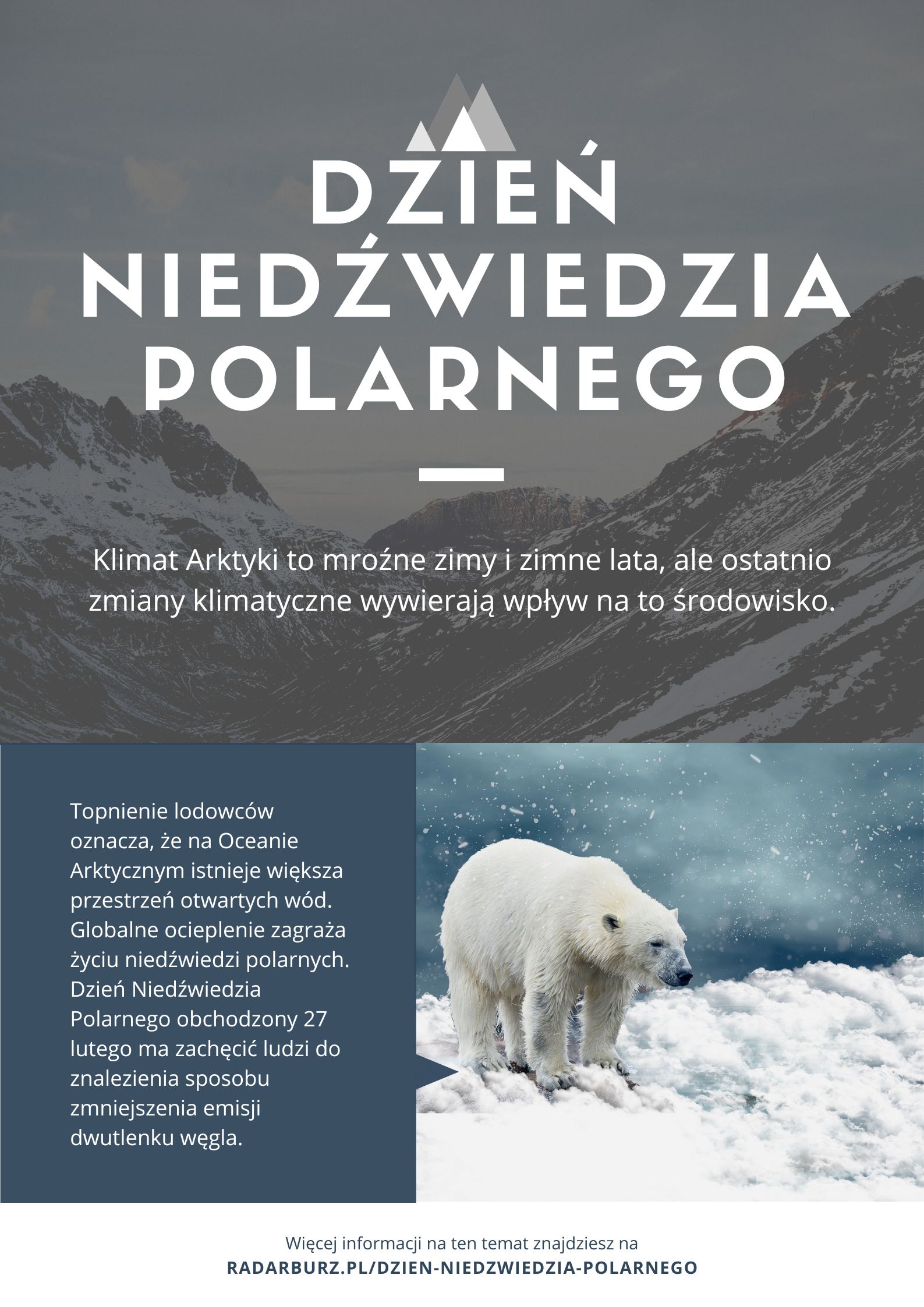 dzień niedźwiedzia polarnego plakat